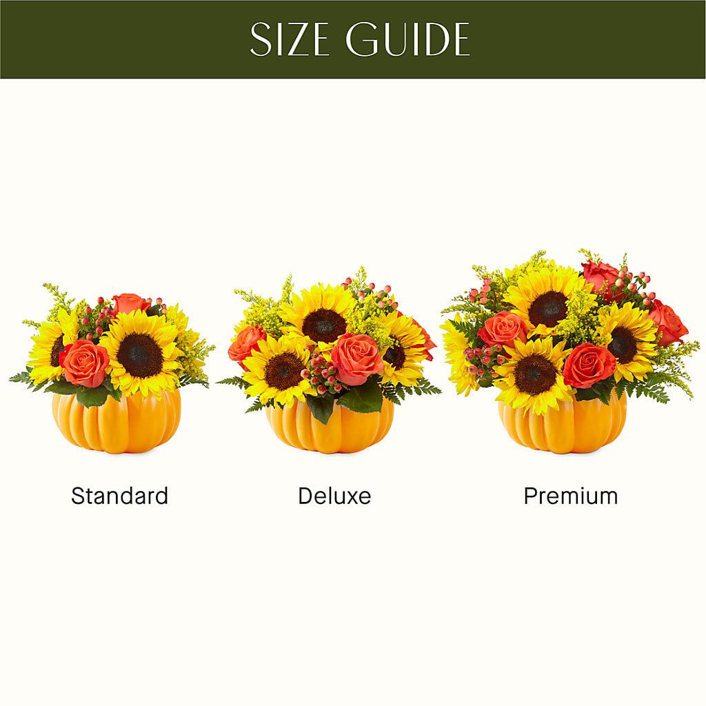 Pick of the Patch Pumpkin Bouquet – Bella Rose, Rialto CA