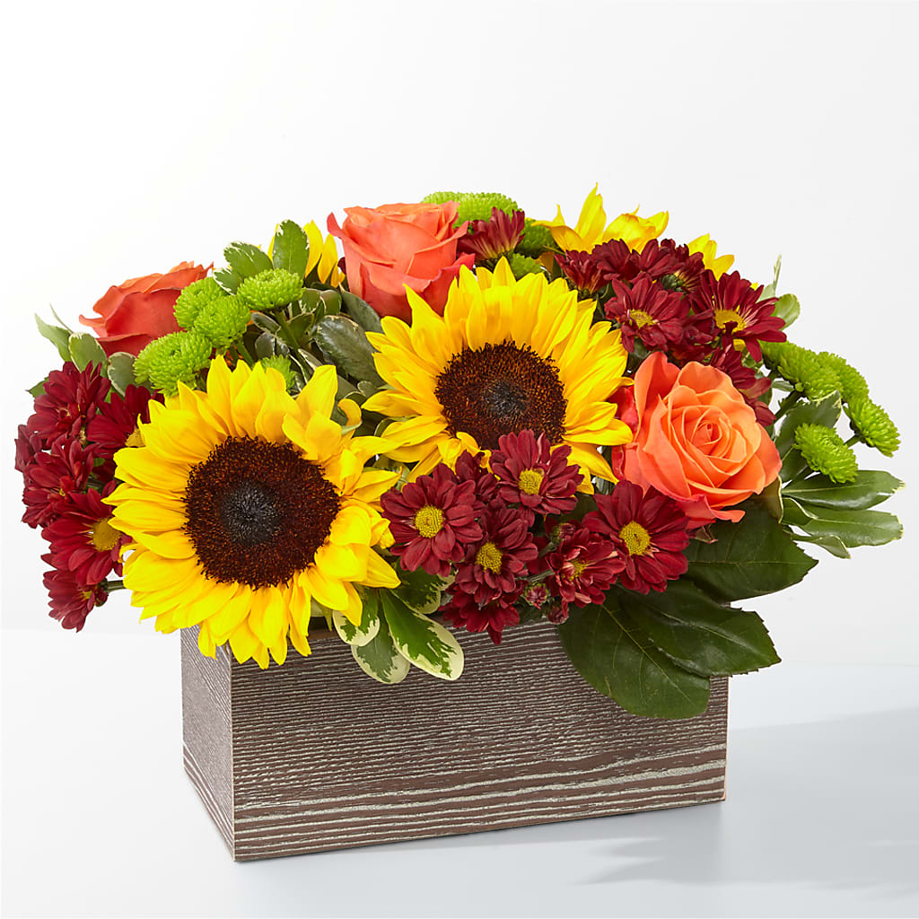 Happy Harvest Garden – Bella Rose, Rialto CA