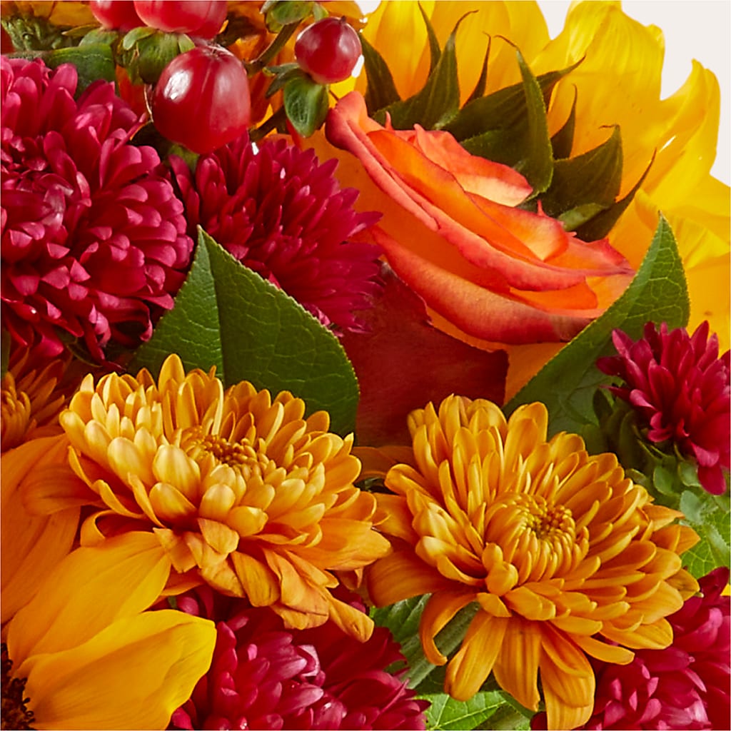 Sweater Season - A Florist Original – Bella Rose, Rialto CA