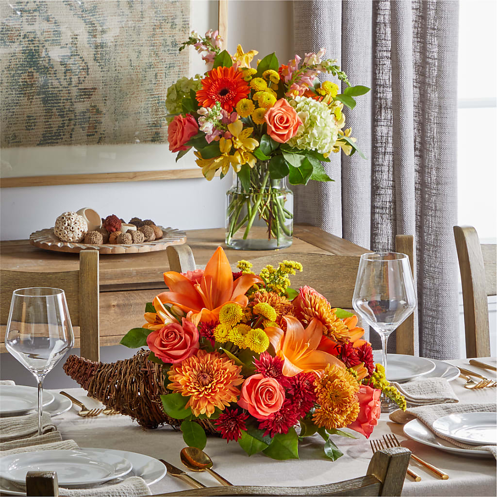 Blooming and Blessed Bundle – Bella Rose, Rialto CA