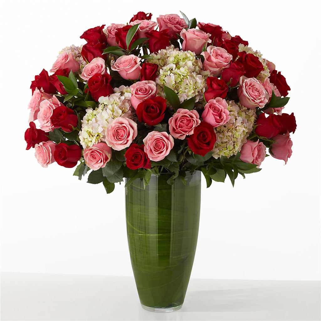 The Allure – Bella Rose, Rialto CA