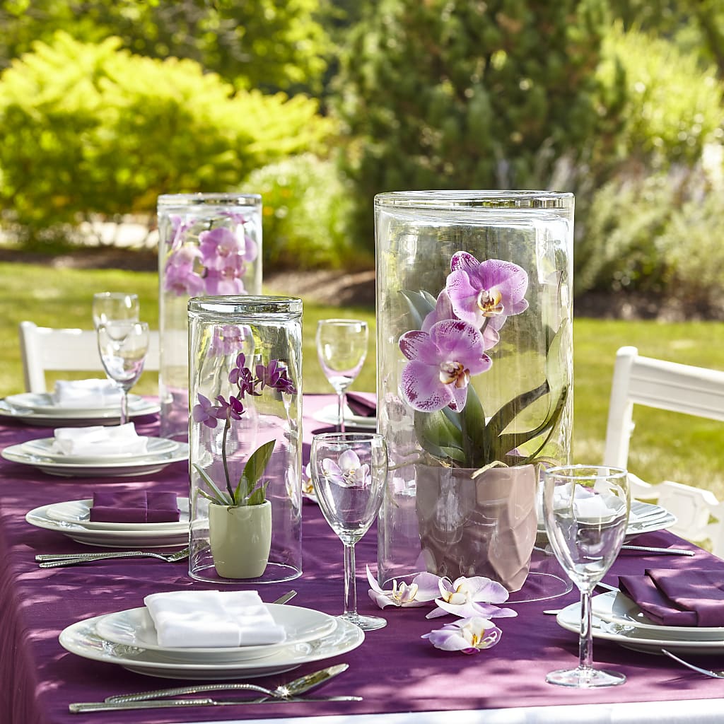 Dramatic Garden Centerpiece – Bella Rose, Rialto CA