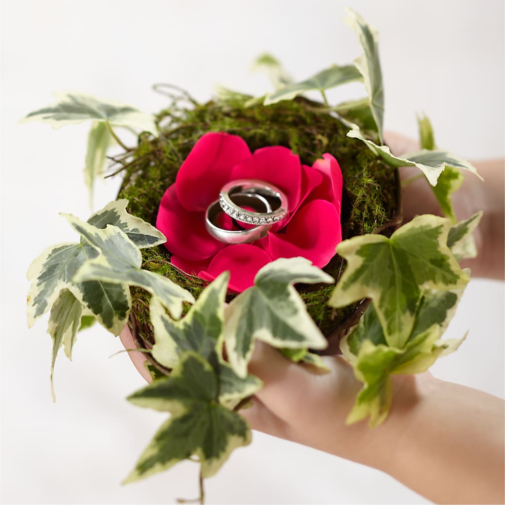 Lila Rose Ring Nest – Bella Rose, Rialto CA