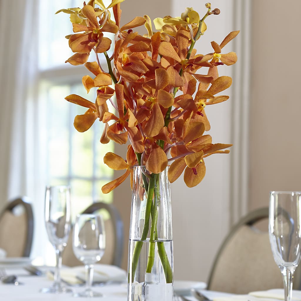 Orange Mokara Bud Vase – Bella Rose, Rialto CA