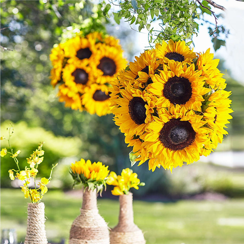 Sublime Garden Hanging Arrangement – Bella Rose, Rialto CA