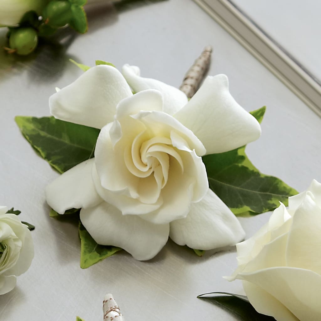 Gardenia Boutonniere – Bella Rose, Rialto CA