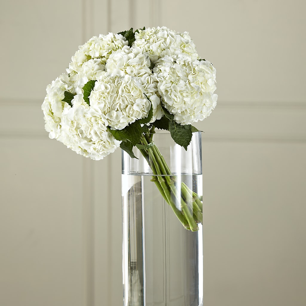 White Hydrangea Hand-Tied Bouquet – Bella Rose, Rialto CA