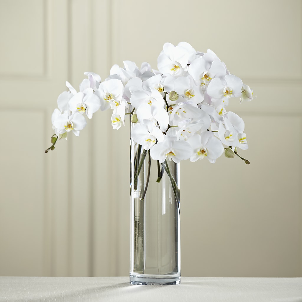 White Phalaenopsis Bouquet – Bella Rose, Rialto CA