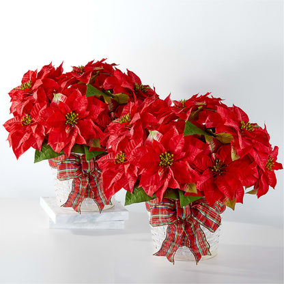 Happiest Holidays Poinsettia Bundle –  Bella Rose, Rialto CA