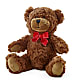 Adorable Plush Bear –  Bella Rose, Rialto CA