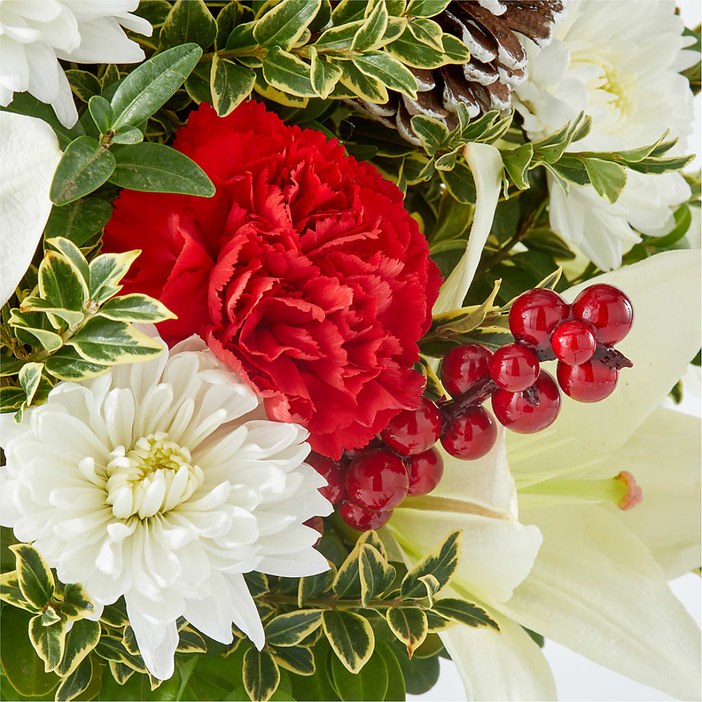 Festive Moments Tree –  Bella Rose, Rialto CA