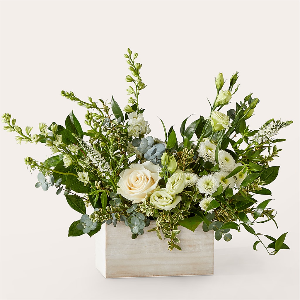 Cashmere Bouquet –  Bella Rose, Rialto CA