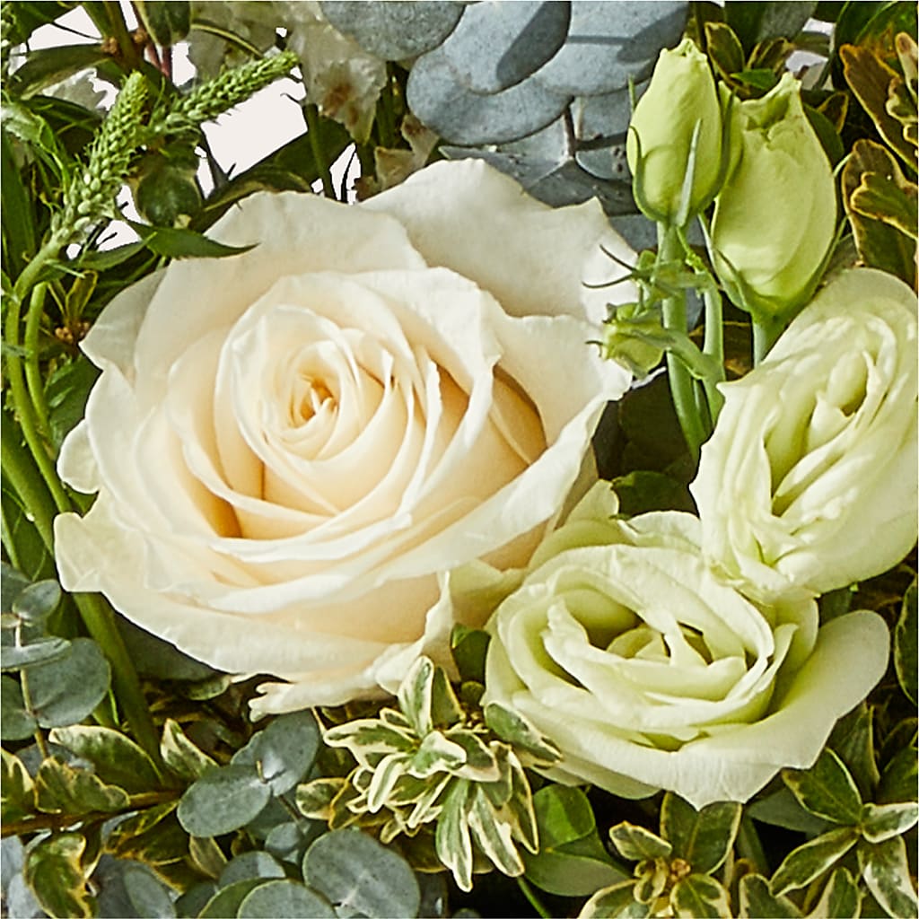 Cashmere Bouquet –  Bella Rose, Rialto CA