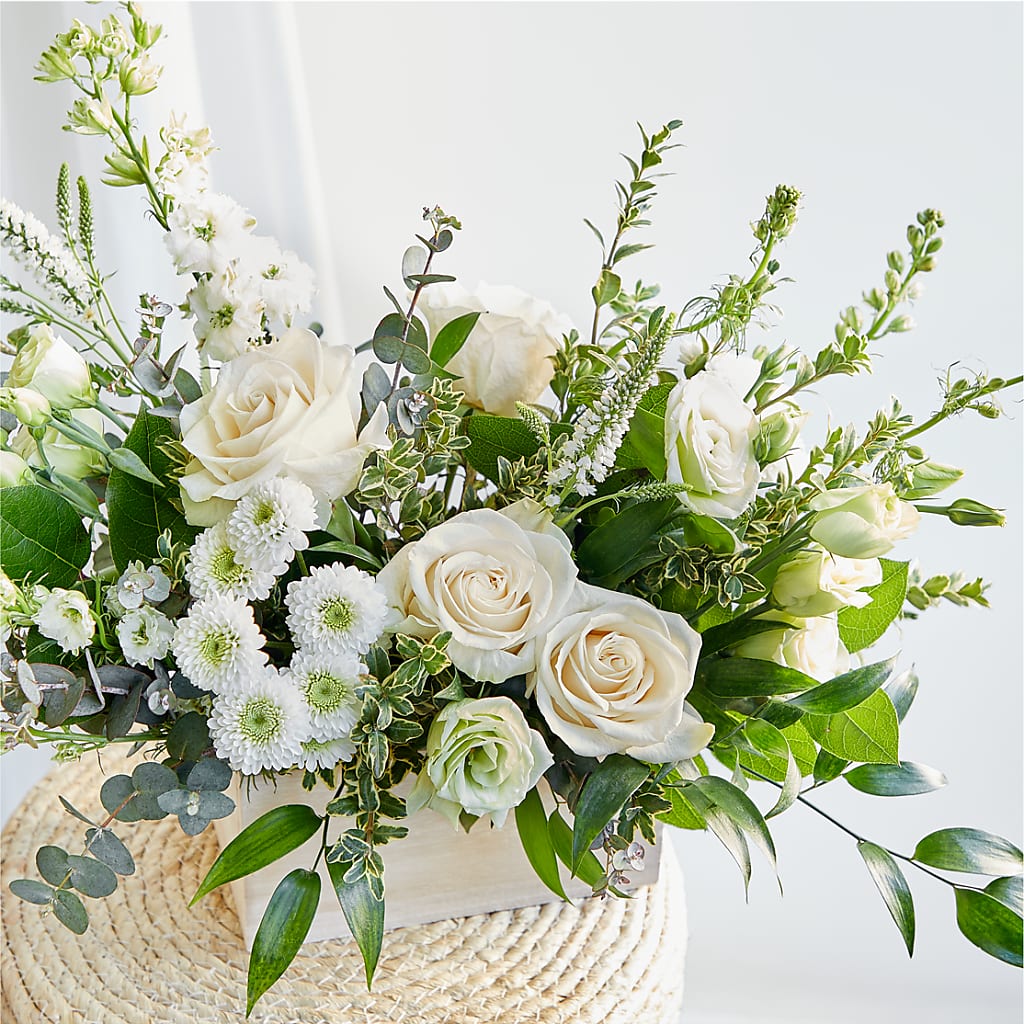 Cashmere Bouquet –  Bella Rose, Rialto CA