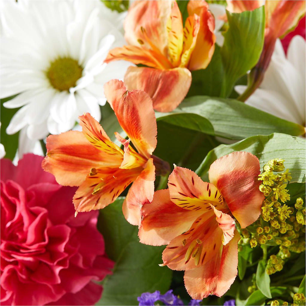 Oopsie Daisy Box Bouquet –  Bella Rose, Rialto CA