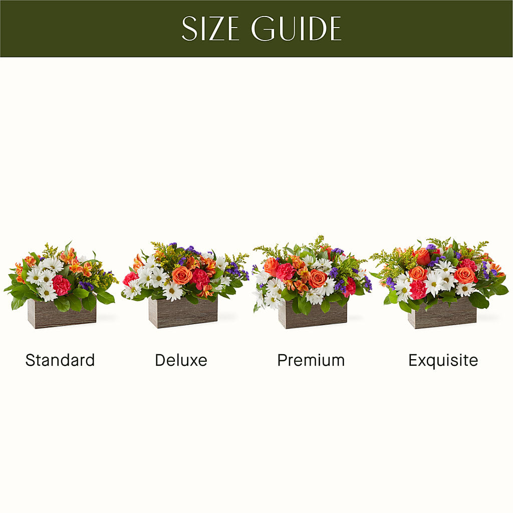 Oopsie Daisy Box Bouquet –  Bella Rose, Rialto CA
