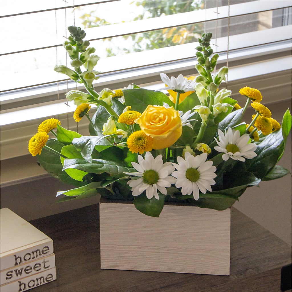 Sun Salutation Box Bouquet –  Bella Rose, Rialto CA