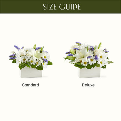 Beyond Blue Box Bouquet –  Bella Rose, Rialto CA