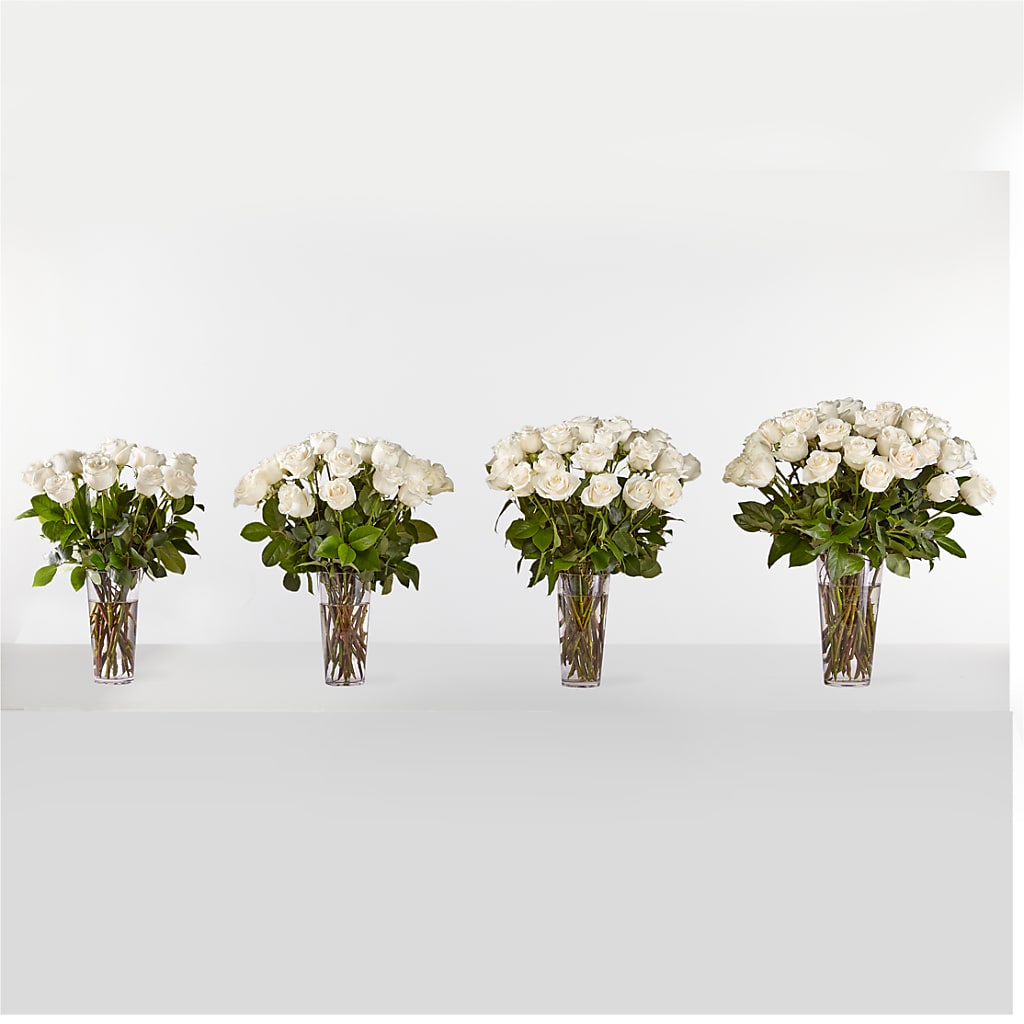 Long Stem White Rose Bouquet –  Bella Rose, Rialto CA