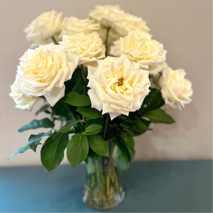 Long Stem Yellow Rose Bouquet –  Bella Rose, Rialto CA