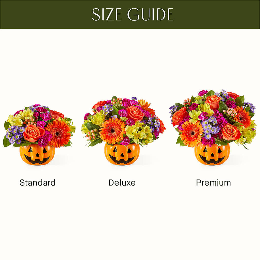 Tricks & Treats Pumpkin –  Bella Rose, Rialto CA