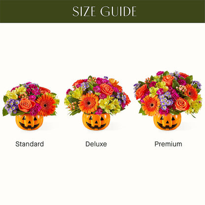 Tricks & Treats Pumpkin –  Bella Rose, Rialto CA