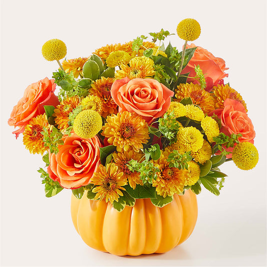 Gourdgeous Pumpkin –  Bella Rose, Rialto CA
