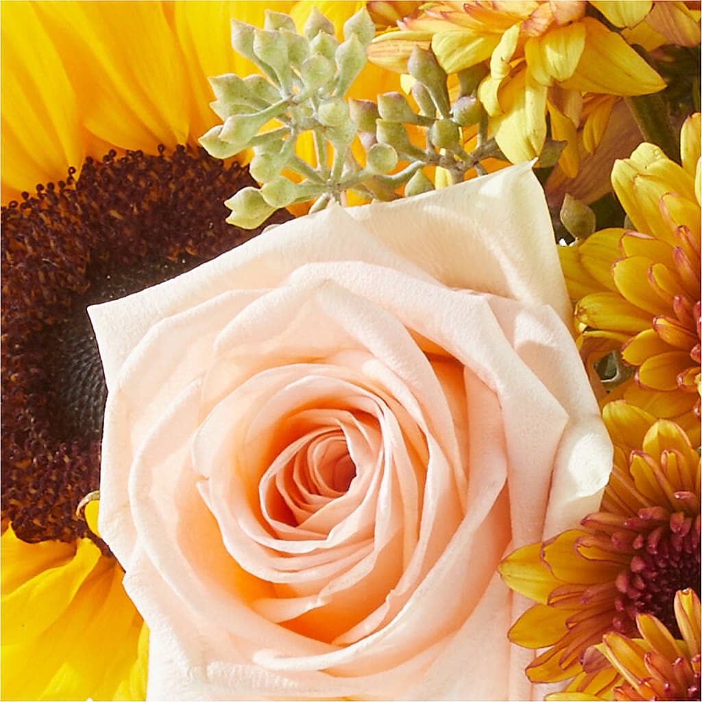 Pumpkin to Talk About Bouquet –  Bella Rose, Rialto CA