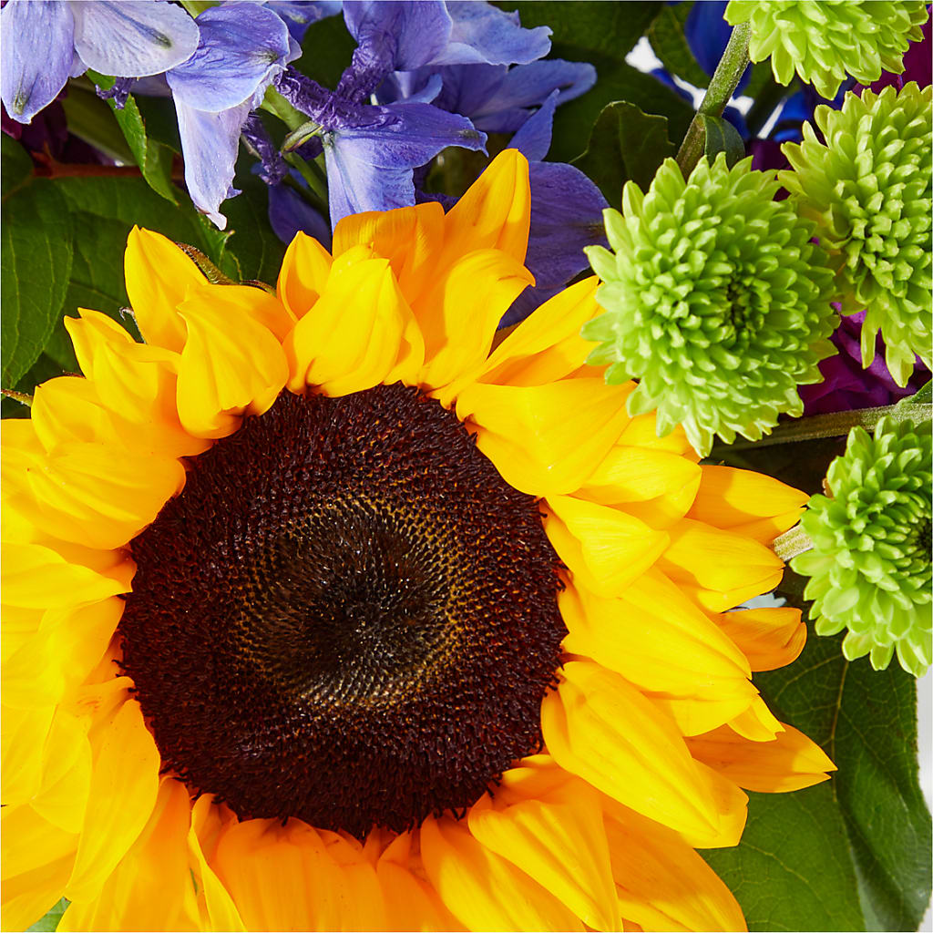Catching Rays Bouquet –  Bella Rose, Rialto CA
