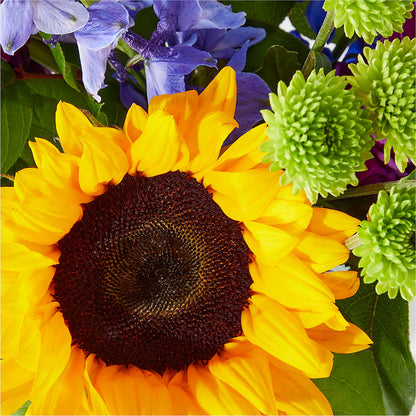 Catching Rays Bouquet –  Bella Rose, Rialto CA