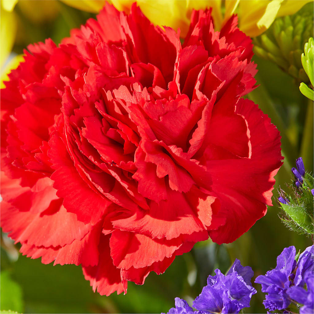 Brighter Days Bouquet –  Bella Rose, Rialto CA