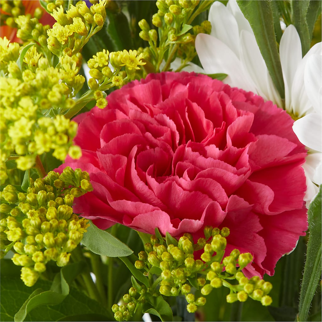 Oopsie Daisy Bouquet –  Bella Rose, Rialto CA