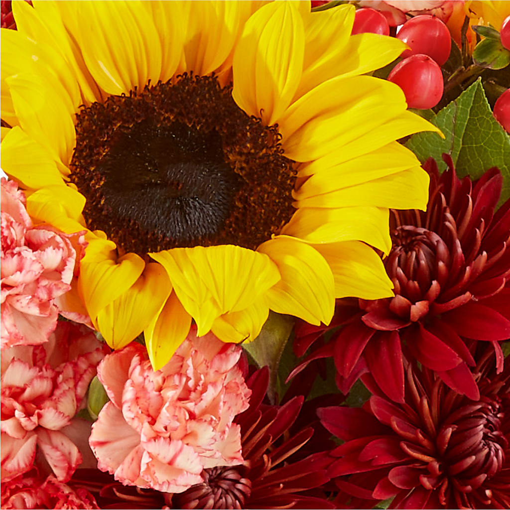 Fresh Cider Bouquet –  Bella Rose, Rialto CA