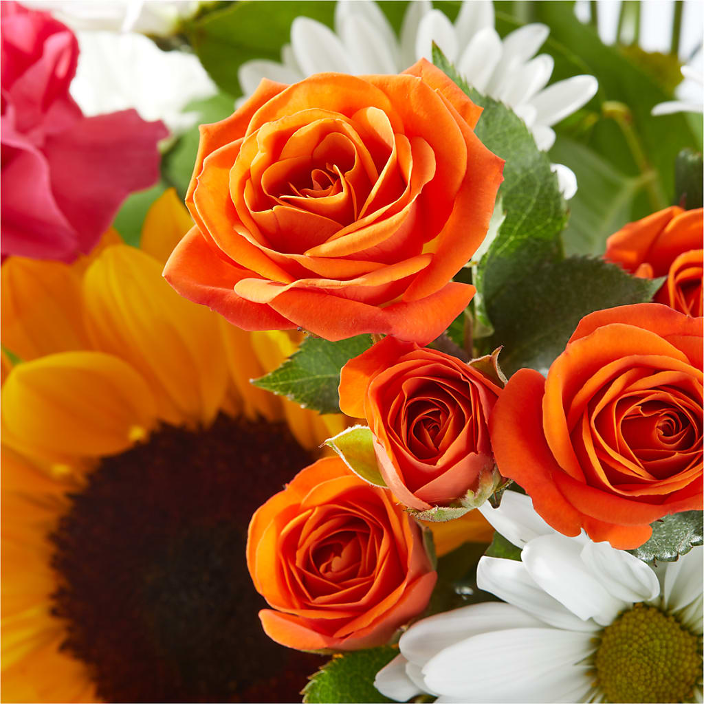 Sun-drenched Blooms Bouquet –  Bella Rose, Rialto CA