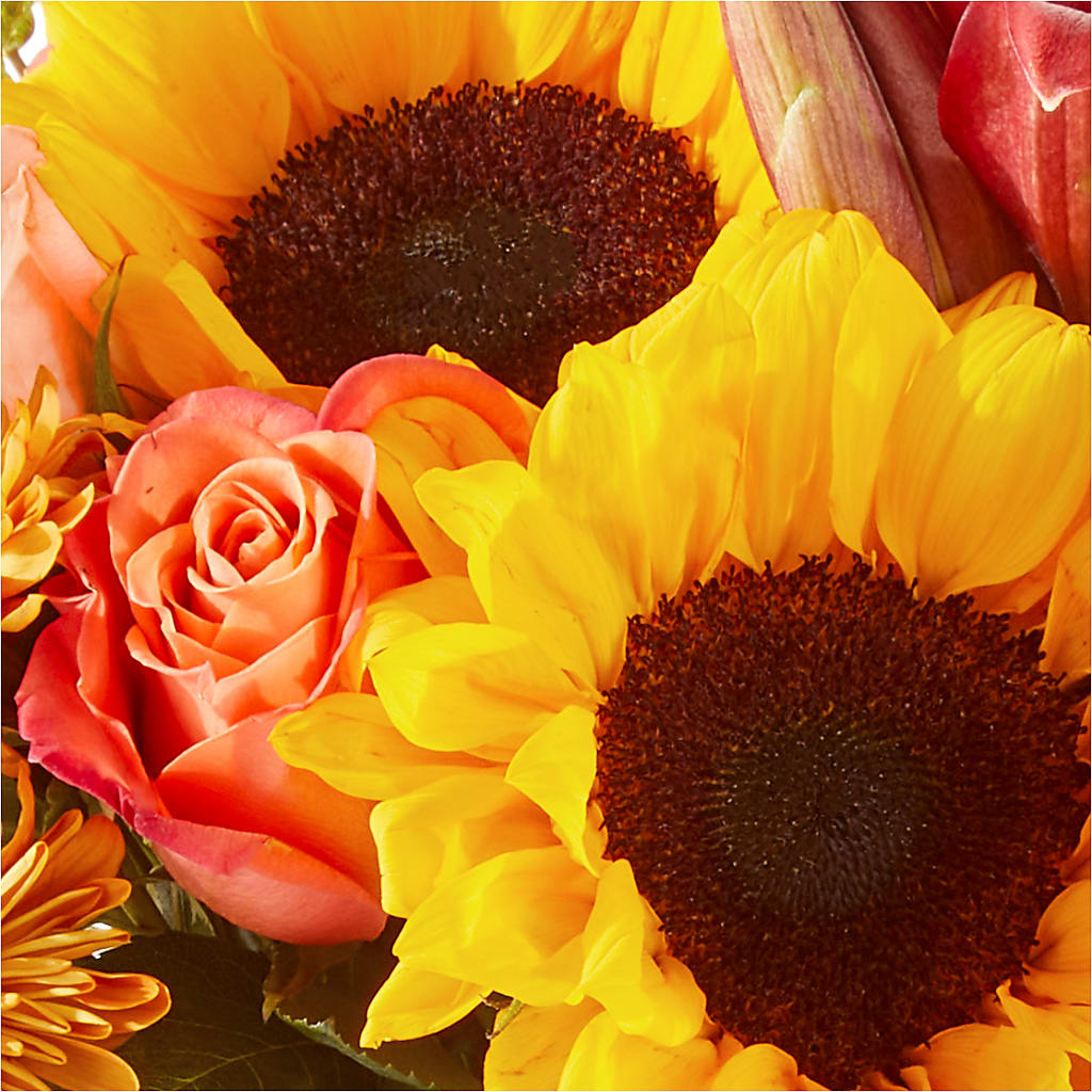 Acorn Lane Bouquet –  Bella Rose, Rialto CA