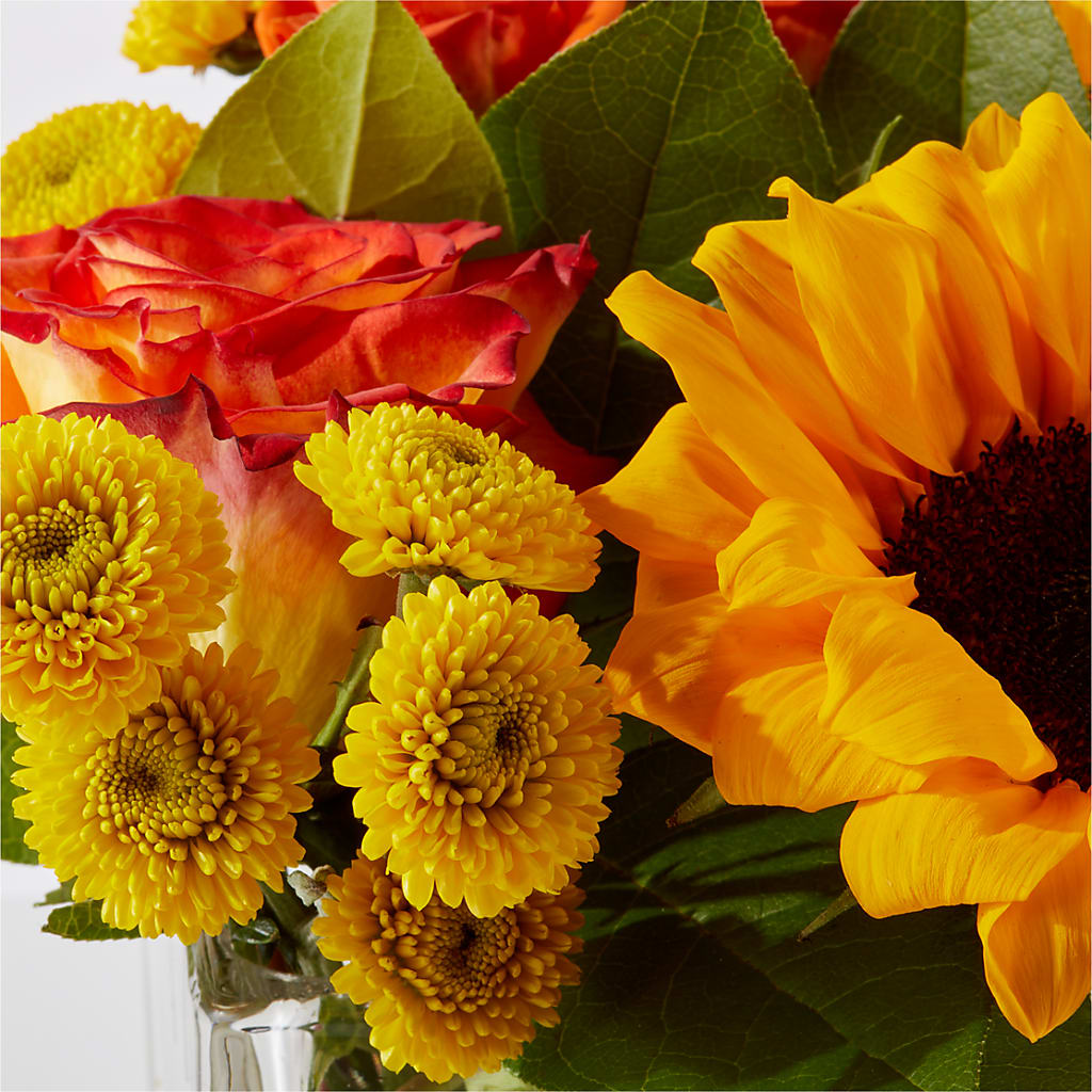 Picnic in the Park Bouquet –  Bella Rose, Rialto CA