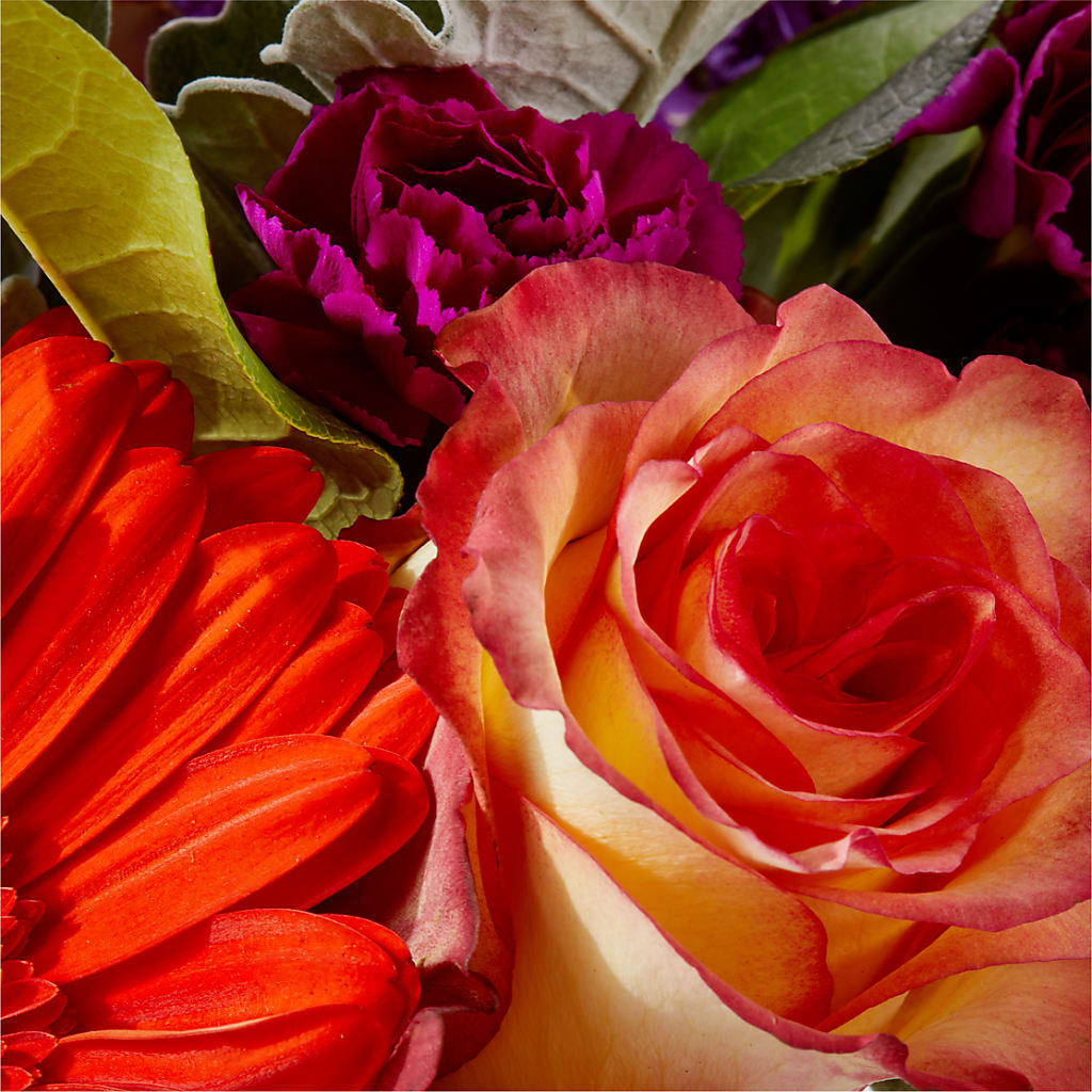 Sangria Bouquet –  Bella Rose, Rialto CA