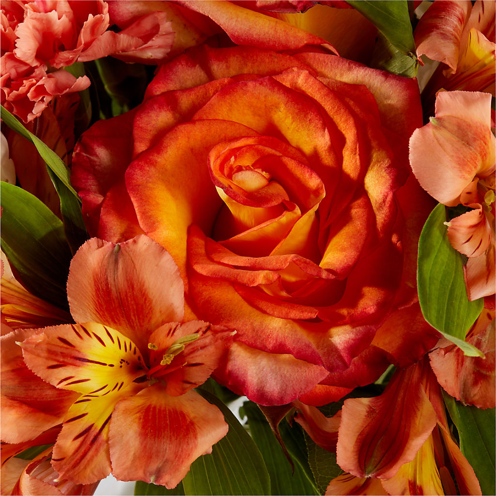 Apricot Glow Bouquet –  Bella Rose, Rialto CA