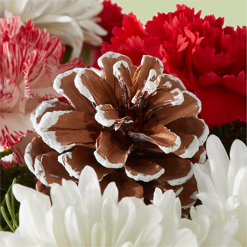 Candy Cane Lane Bouquet –  Bella Rose, Rialto CA