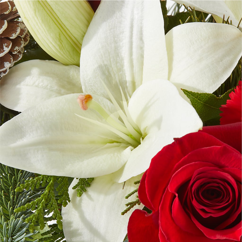 Oh So Jolly Bouquet –  Bella Rose, Rialto CA