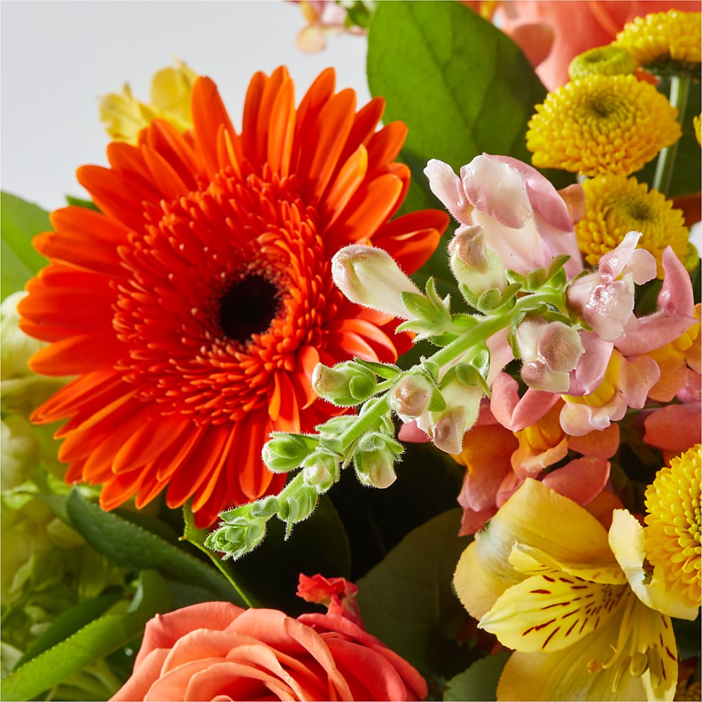 Autumn Sunshine Bouquet –  Bella Rose, Rialto CA