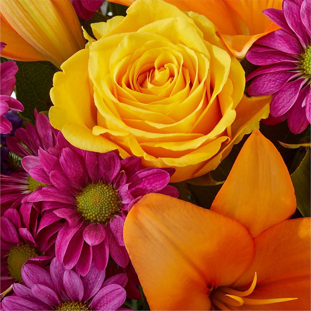 Colorful Visions Bouquet –  Bella Rose, Rialto CA