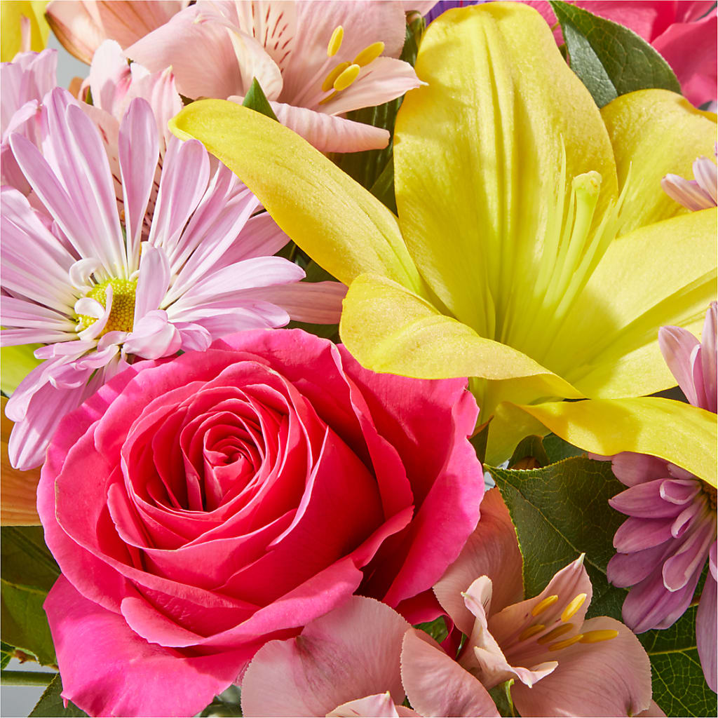 Sprinkles Bouquet –  Bella Rose, Rialto CA