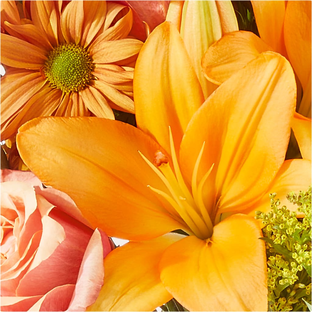 Harvest Hayride Bouquet –  Bella Rose, Rialto CA