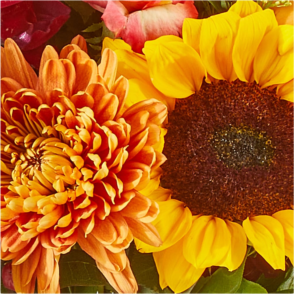Seasons Change Bouquet –  Bella Rose, Rialto CA