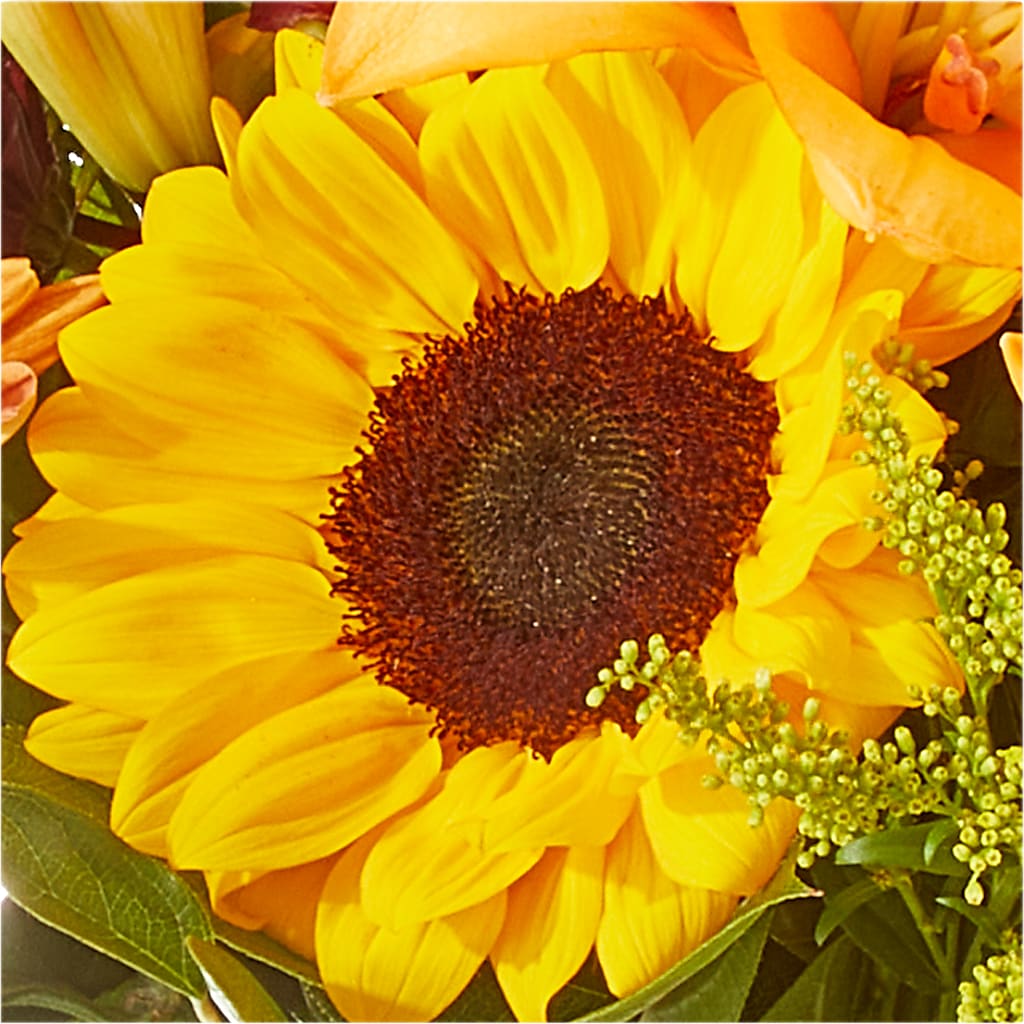 Seasons Change Bouquet –  Bella Rose, Rialto CA