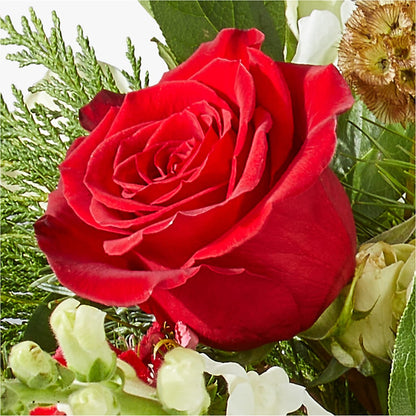 Deck the Halls Bouquet –  Bella Rose, Rialto CA