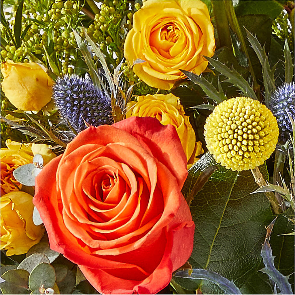 Disco Bouquet –  Bella Rose, Rialto CA
