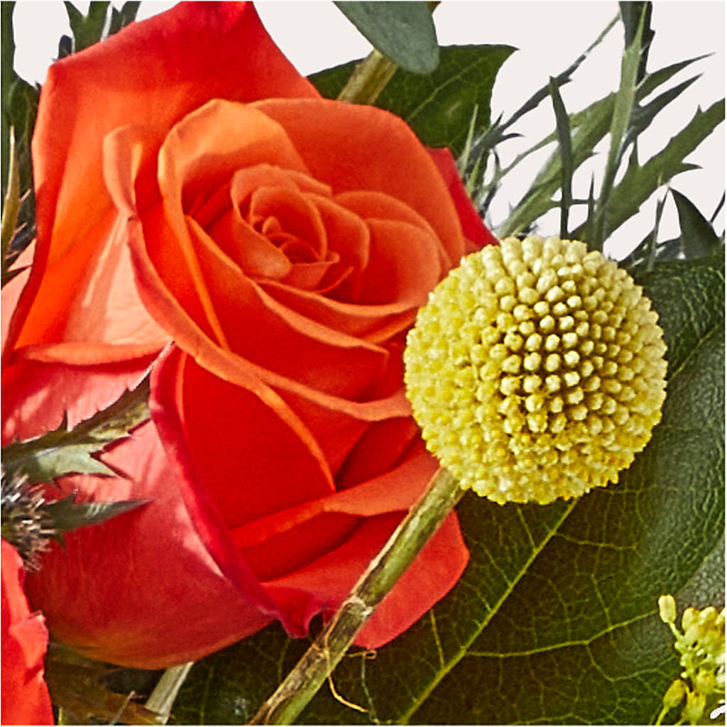 Disco Bouquet –  Bella Rose, Rialto CA