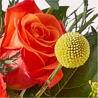 Disco Bouquet –  Bella Rose, Rialto CA